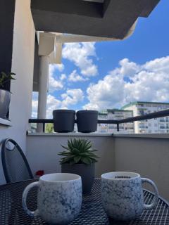 Apartman Malićanin - 2