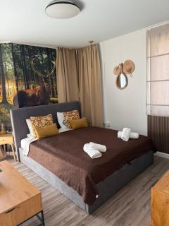 Luxury Studio1 in Hotel Friends SPA - 2