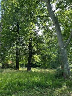 Château Belle au Bois Dormant - - 3