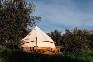 Sahara - Galmping Maremma, Toscana - Roccastrada - 0