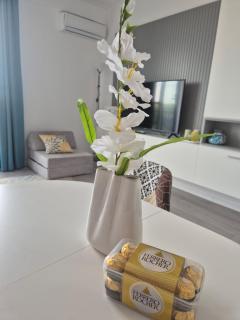 Apartament Mirela - Baile Felix - 3