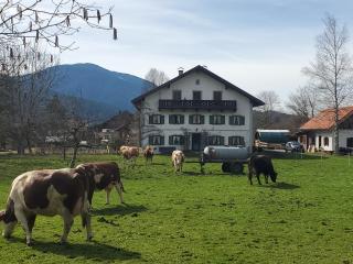 Biohof Dimper - Stellplatz, Campingplatz - Saulgrub - 6