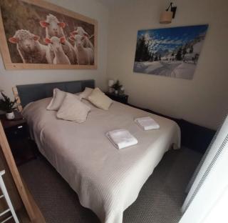 Apartament Kościelisko Sobiczkowa - 9