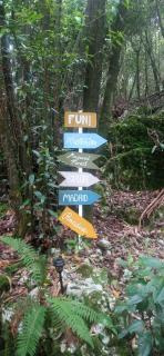 Glamping Experience La Maeta - 8