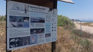 Family mobile home solar powered near the sea and the airport - Áyios Spirídhon - 8