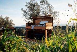 Sahara - Galmping Maremma, Toscana - Roccastrada - 8