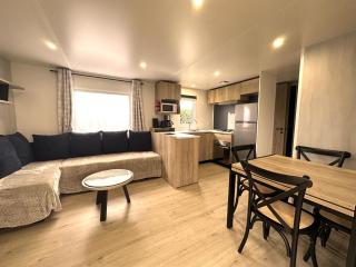 Les Charmettes Mobilhome Neuf 3 ch - 2 sdb climatisé - Locsweethome - Les Mathes - 0