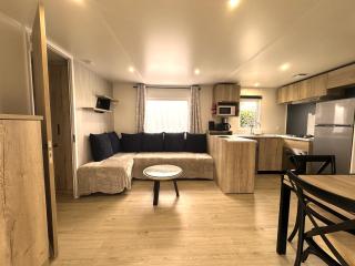 Les Charmettes Mobilhome Neuf 3 ch - 2 sdb climatisé - Locsweethome - Les Mathes - 9