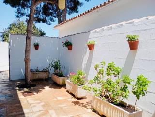 Entre Pinos - 4
