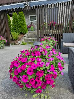 Leilighet 6 - 8