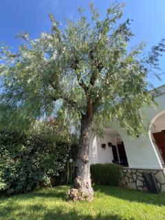 Holiday Home Pilone - 7