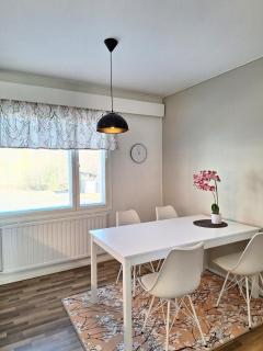 Jääskän Loma, Kojolapark asunto 2 - Voltti - 2