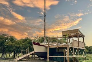Asila's Ark - - 8