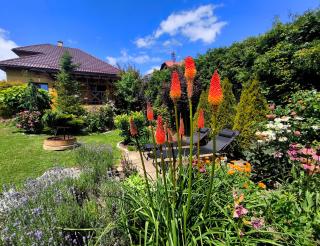 Na Divokom Vŕšku - 5