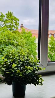 Stylish & sunny Apt near River - 9