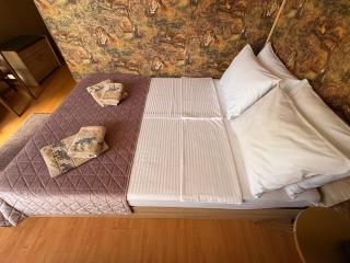 ROOMS FOR RENT NEXT TO CENTER SOFIA in apartment with living & dining room & kitchen - Sofia - 3