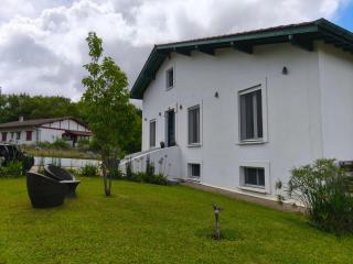 MAGNIFIQUE VILLA DE 250 m2 - Briscous - 9