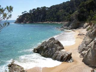 Villa Escorpion Tossa de Mar - 1