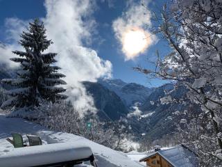 Chalet Sauce Montagnarde - Planay - 5