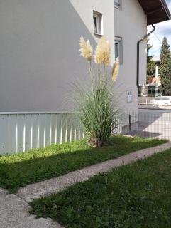 Apartmani Mušinbegović - Visoko - 3