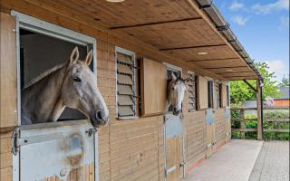 Countryside Haven near Silverstone with pool and tennis court - Helmdon - 9