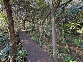 Natures View - Pretoria - 3