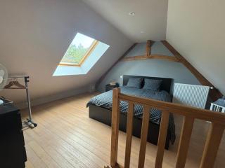 Le magnolia - - 5