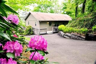 Big Oaks Pointe - 9