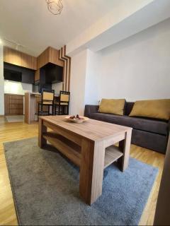 Eleni Apartment - Skopje - 5
