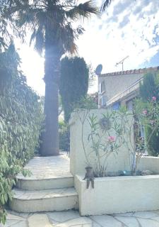 Maison cosy rénovée climatisée, jardinet & piscine - 6