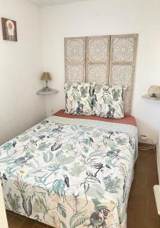 DOUCEUR D AZUR maison climatisée 1 à 4 personnes avec jardinet piscine et parking idéal séjour pro ou détente - 5