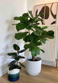 Stylish flat,90m2, in a great central location - 2