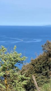 Flat at 30mt from sea, small pool and parking - 7