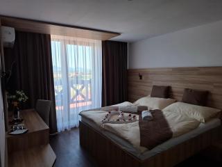 Penzión Vínny Dom - Streda nad Bodrogom - 8