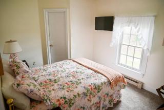 Minutes to Bristol Mountain, Wineries, Canandaigua - 5