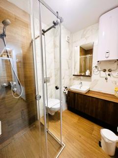 Penthouse Studio Borovi - Divčibare - 3
