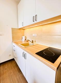 Penthouse Studio Borovi - Divčibare - 4