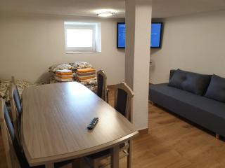 Apartamenty Zator Energy Rest - Zator - 9
