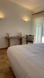 Vila Antic - 2