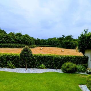 Lady Hill, Royal Hillsborough - 8