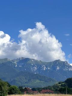 Vila Alisa - Bran - 5