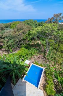 Palm Luxury King Suite, Pool, ocean views, beach short walk West Bay West End - West Bay - 6