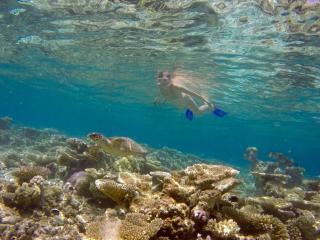 Bahaaru Villa Surf and Stay - Himmafushi - 4