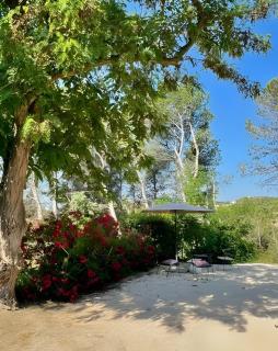 CASA-La Solatine loft cosy piscine - Aramon - 1