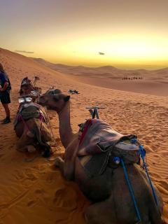 unique Sahara Camp - Merzouga - 6