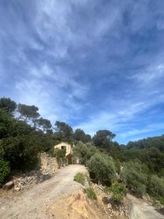 Bastidon provençal Aix-en-Provence plein cœur de la forêt avec vue unique - Le Tholonet - 2