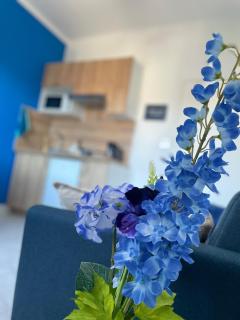 Appartement bleu mer paisible - 9