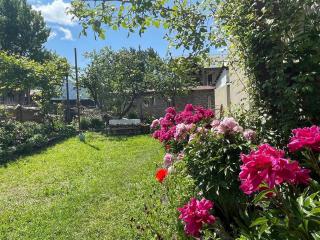 Jimsher Naveriani Guesthouse - 3