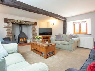 Four Seasons Cottage - Newton Saint Petrock - 7