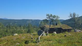 Magic View - Unspoiled nature - Summer mountain pasture with goats - - 0